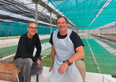 La cabane à spiruline