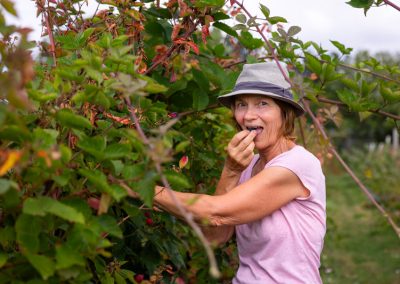 Les petits fruits de la baie