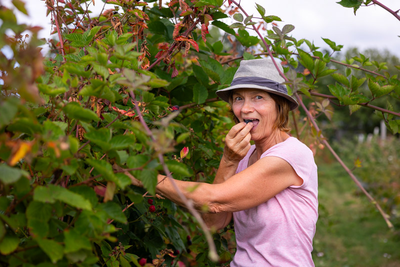Les petits fruits de la baie