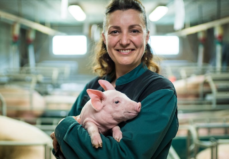 Ferme des Brissets